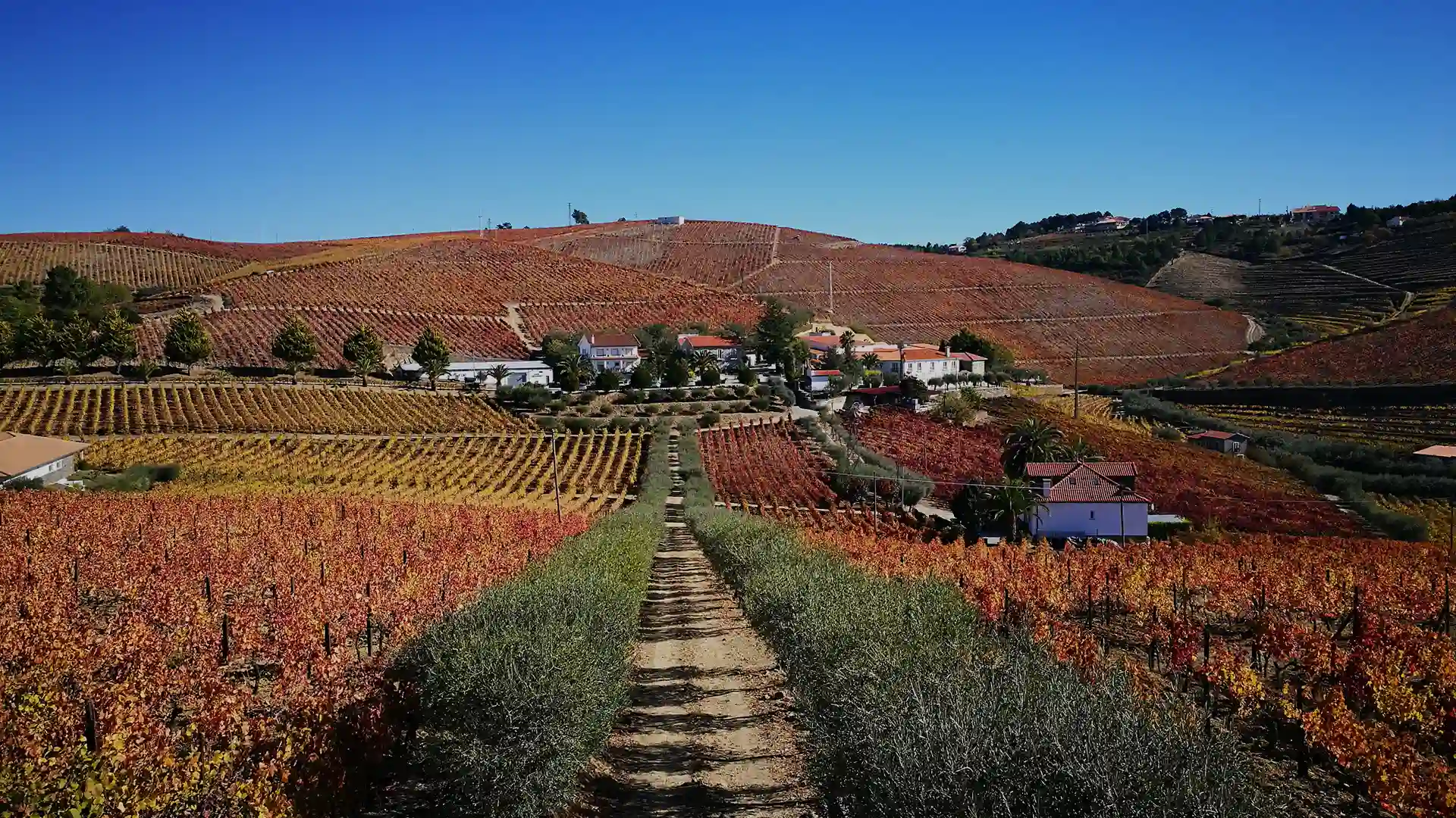 quinta-seara-dordens-visita-douro