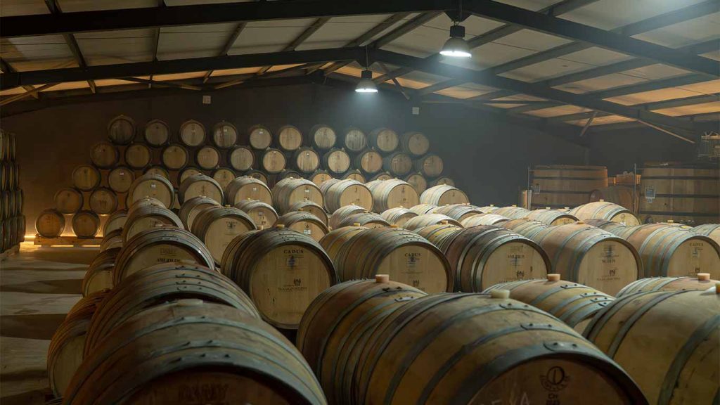 enoturismo-quinta-seara-ordens-visita-douro-vinho