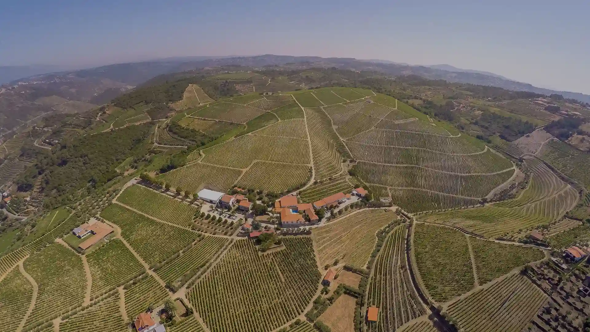 visit-douro-quinta-seara-dordens